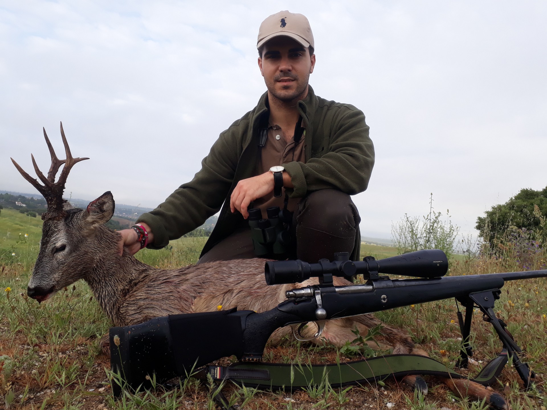 roe deer