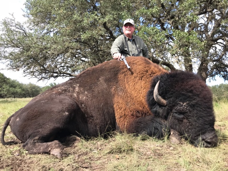 20181022035519_bison_bobll