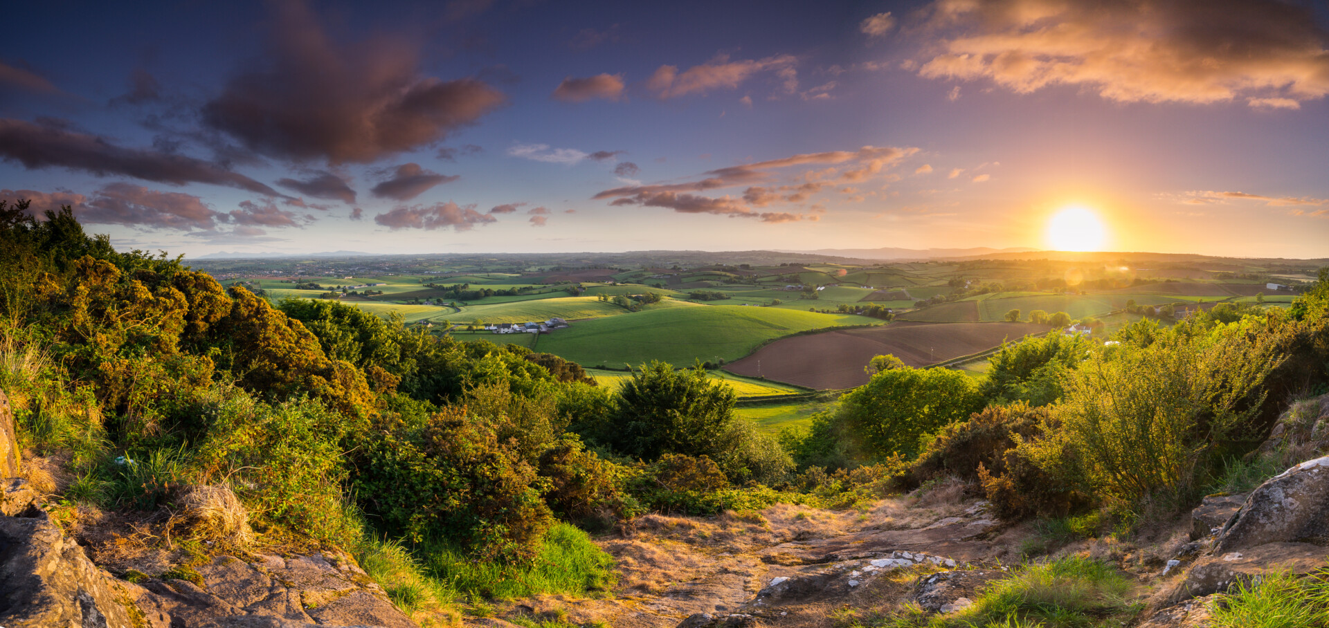 Killynether Wood. North Down, Northern Ireland