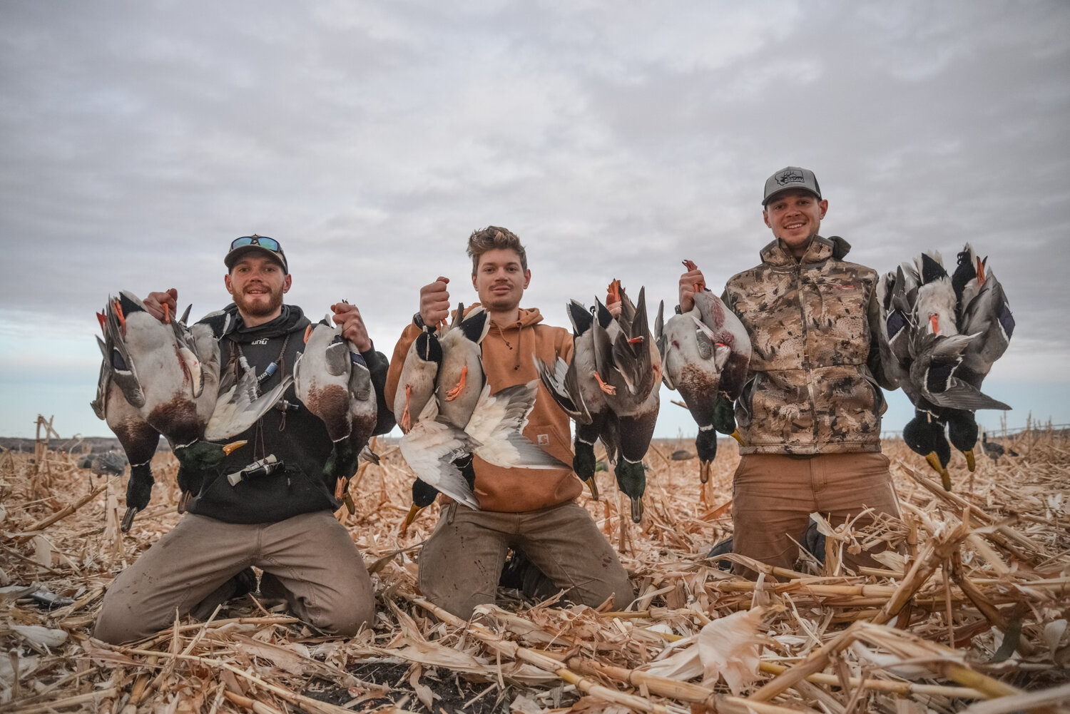 Waterfowl-2