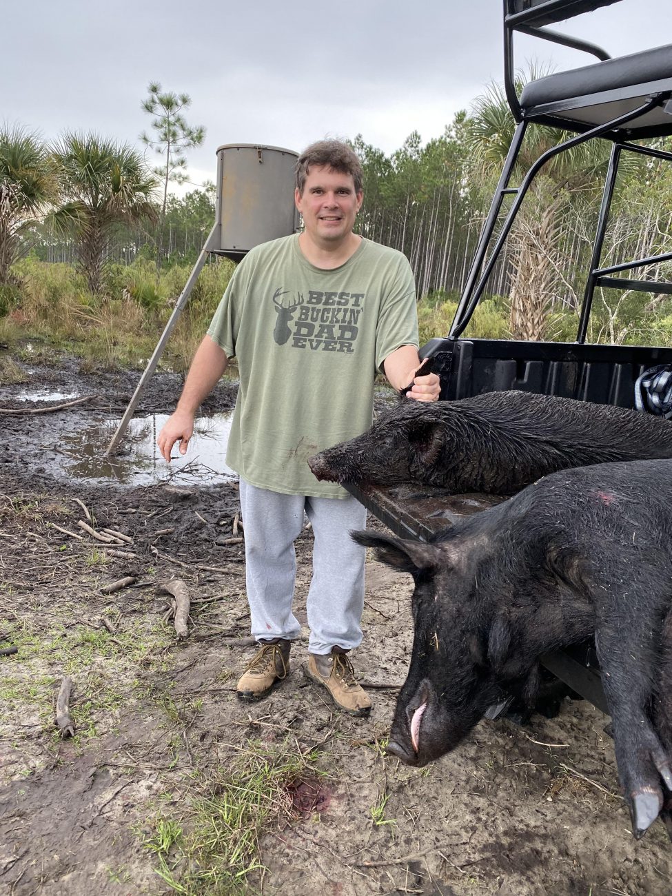pig6