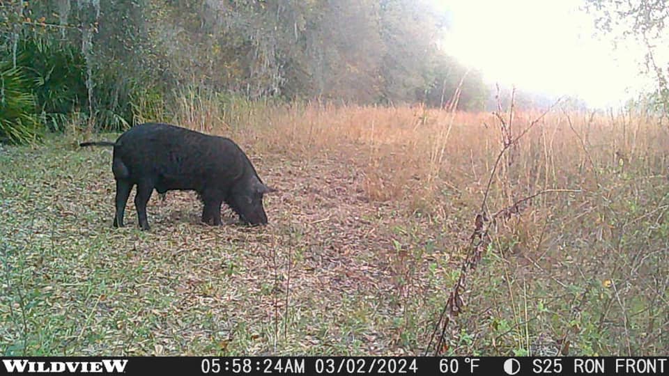 Trail Camera[MP:06][TP:060F][IMEI:865814041811637]