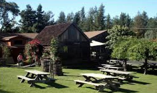 Husch Vineyards