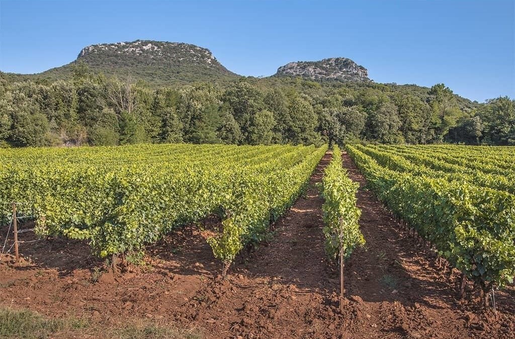 South of France_6