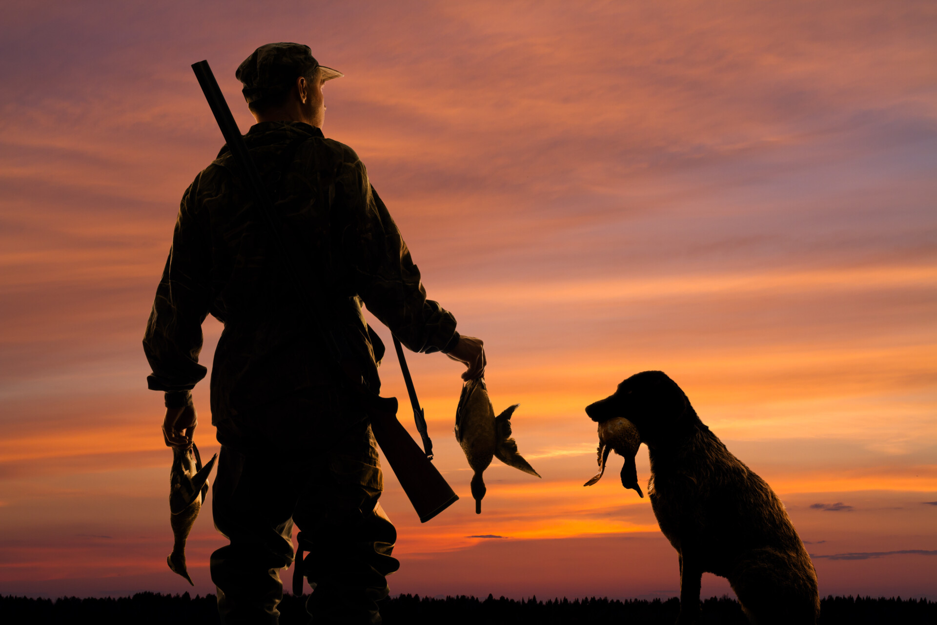 hunter and his dog with prey at sunset