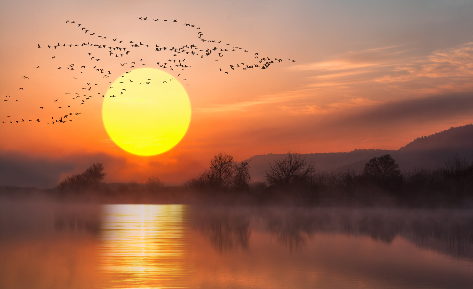 A migrating flock of geese flying in V-formation across a lake at sunset sky.