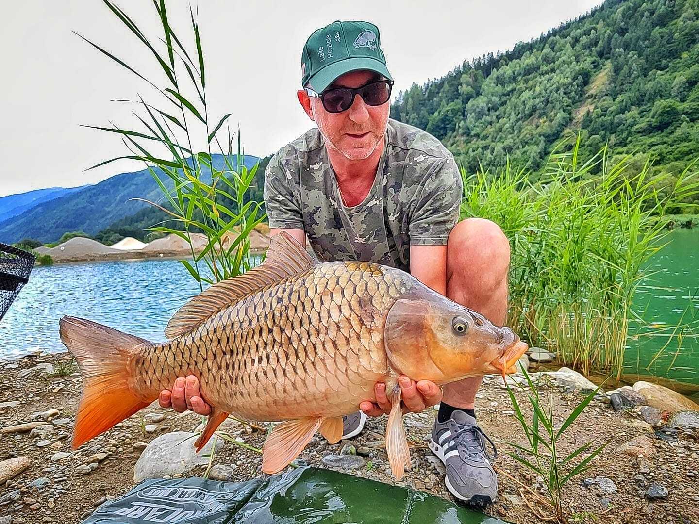 Carp