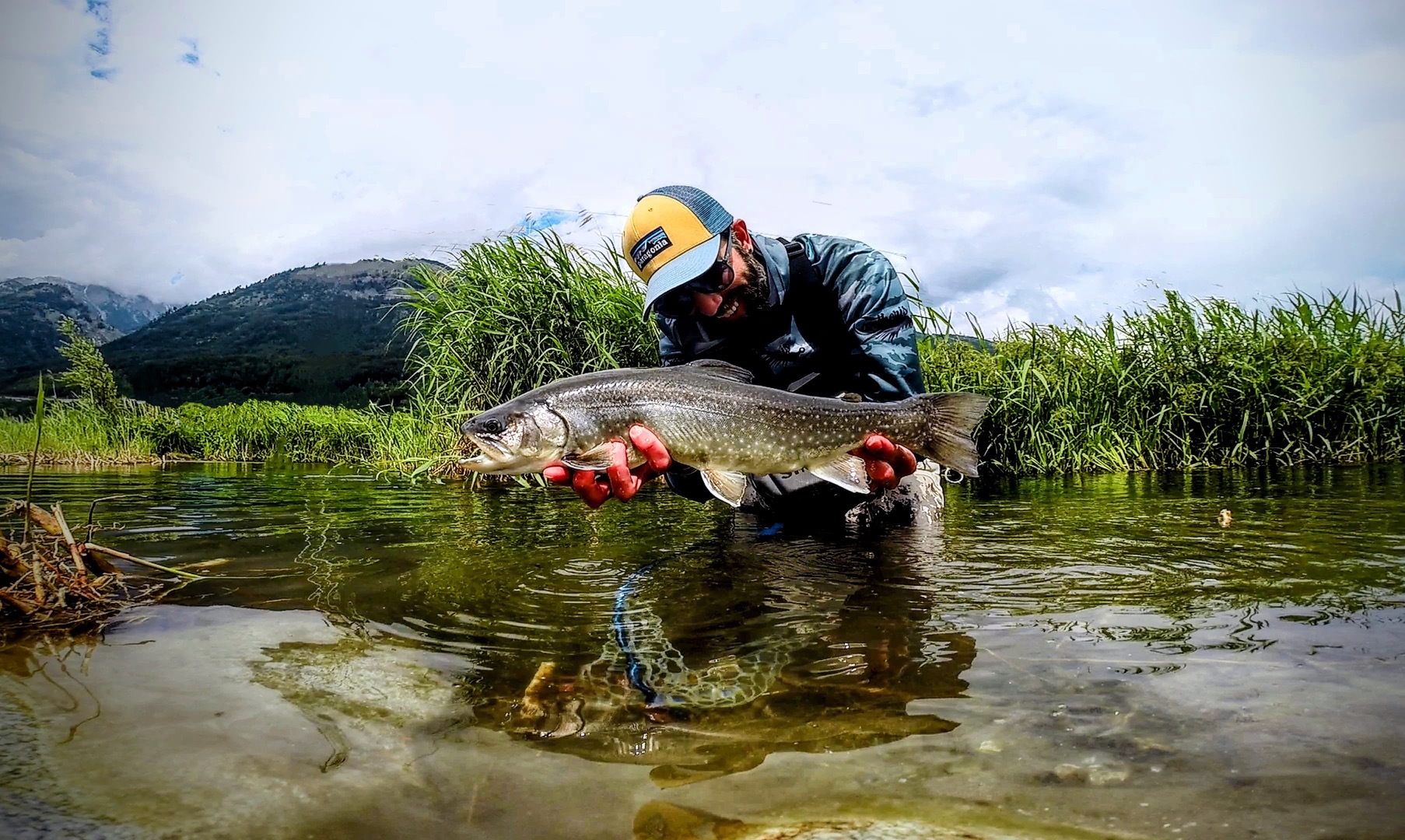 Trout