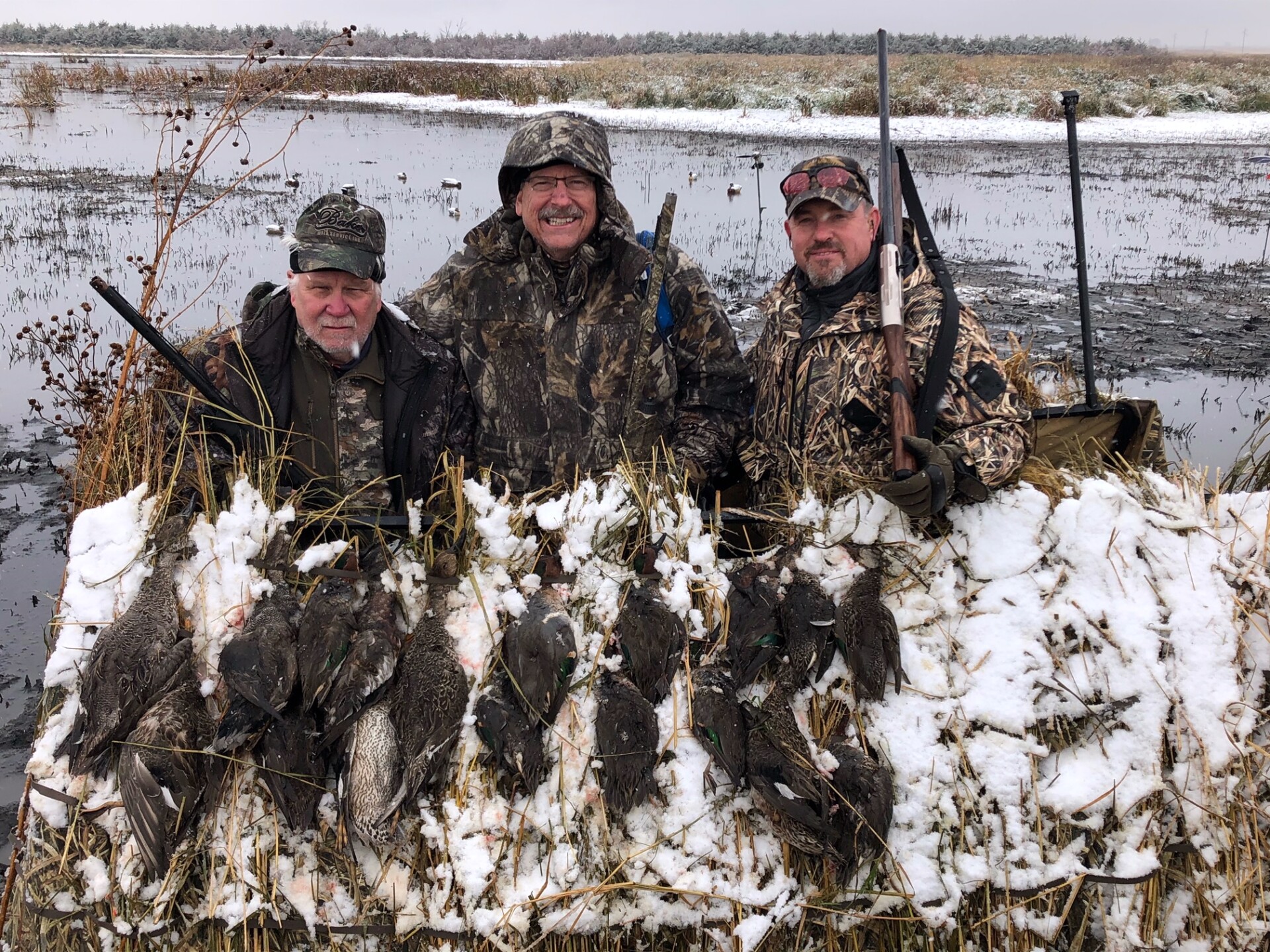 ducks