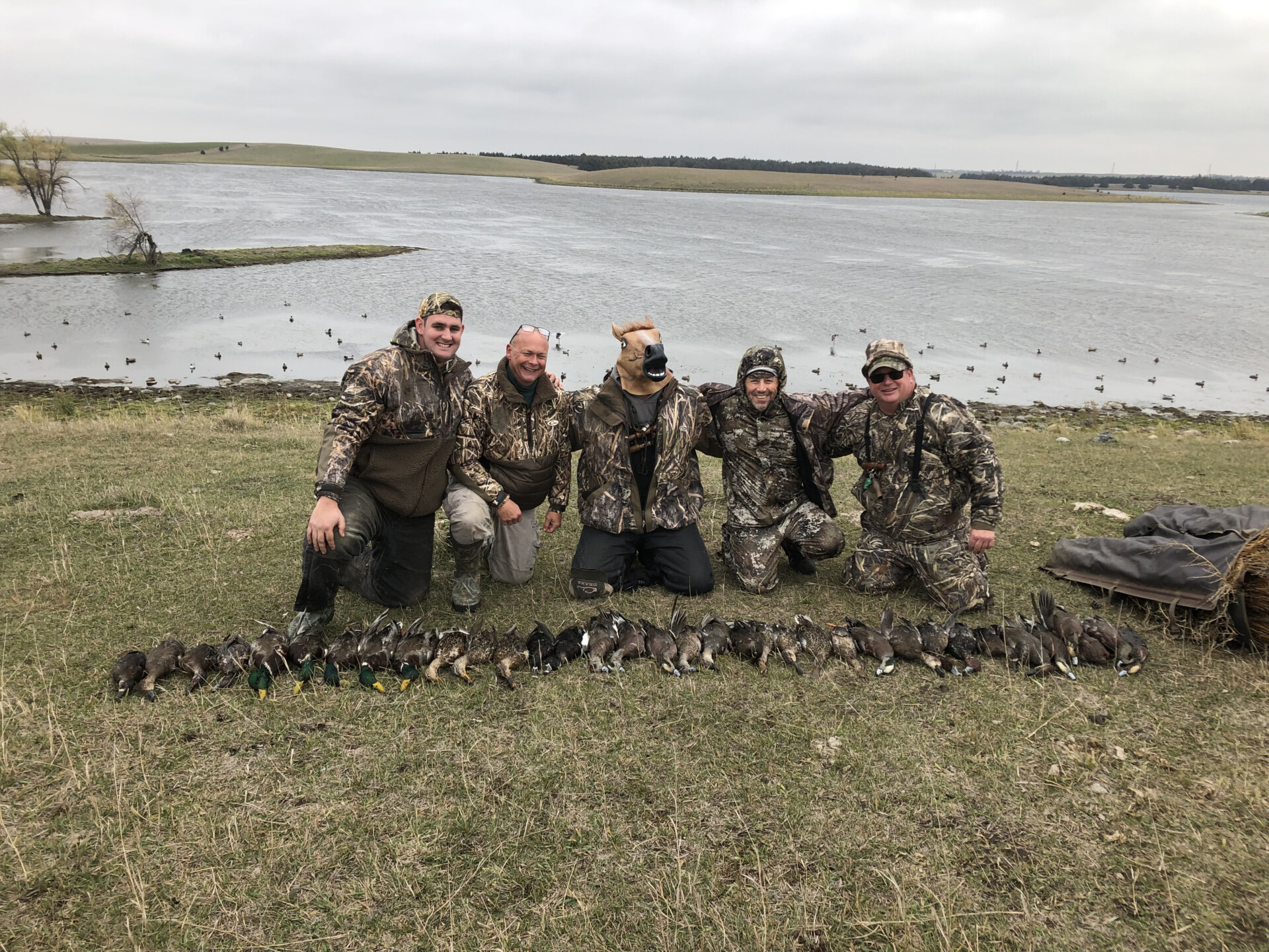 ducksnj