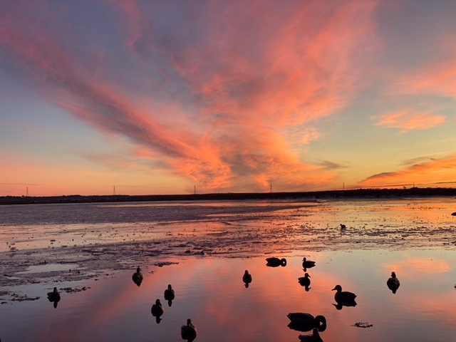 ducksunrise