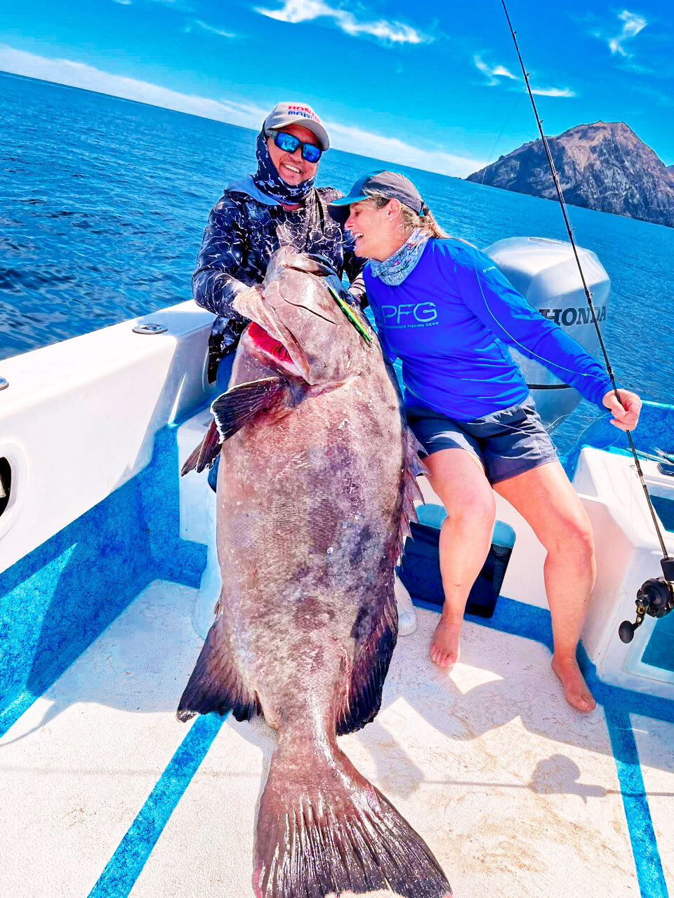 Grouper 3-22