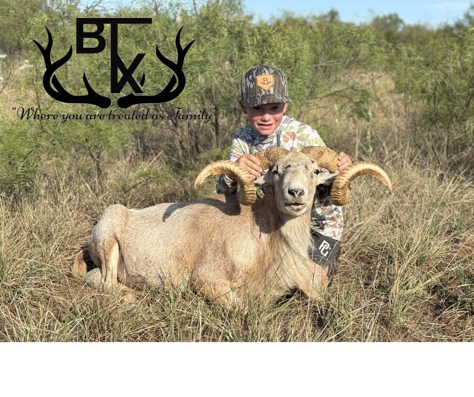 Jachob Texas Dall-Logo