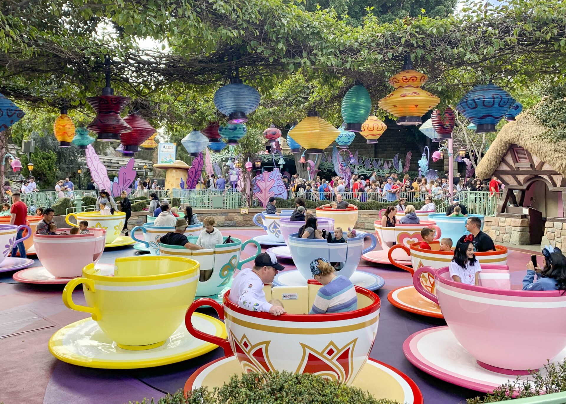 disneyland-rides-teacups