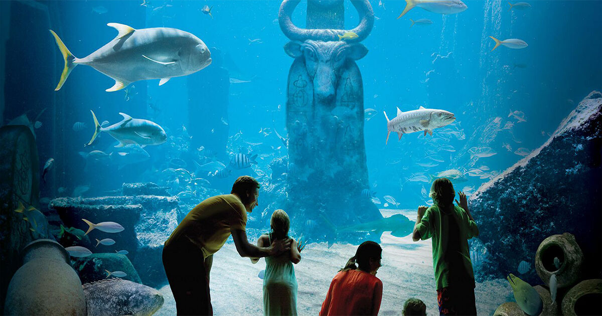 og-image-marine-habitat