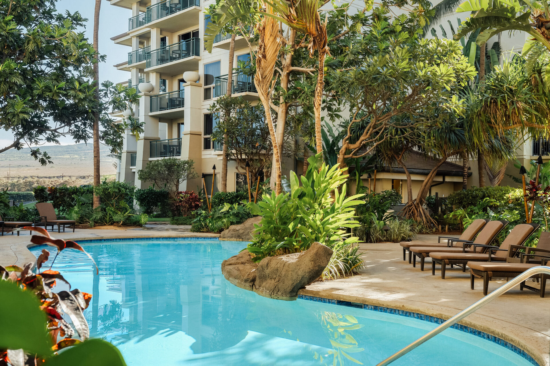wkorvn-pool-adult-pool-north-tower