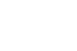 Logo - White