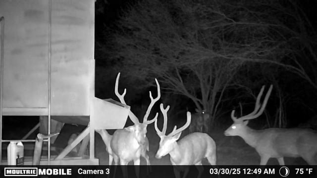 MOULTRIE DIGITAL CAMERA