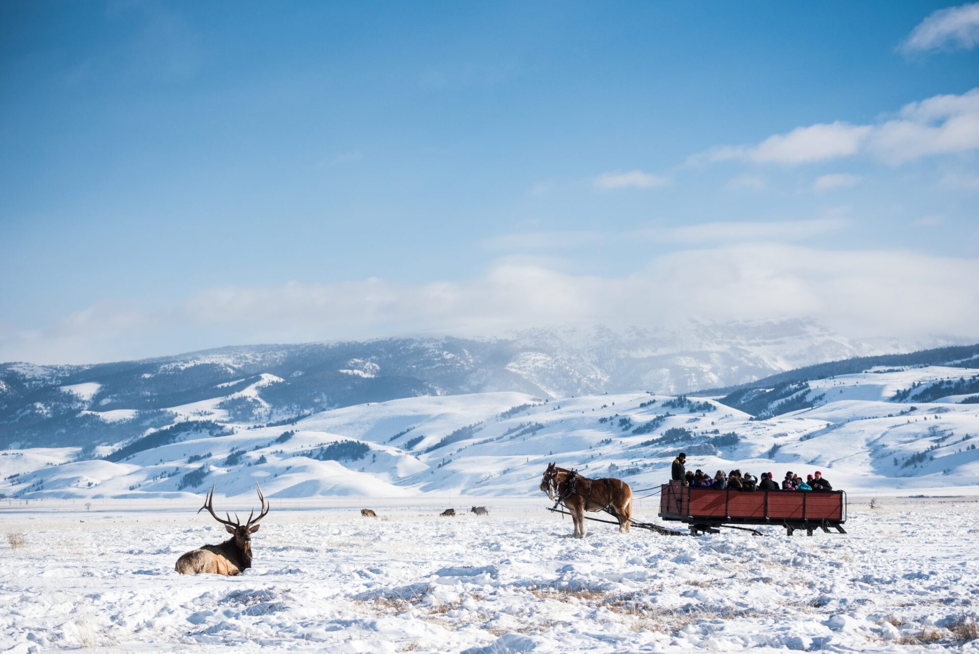 Jacksonhole (5)