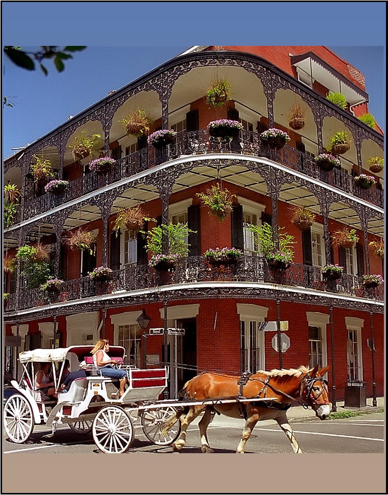 NOLA 1
