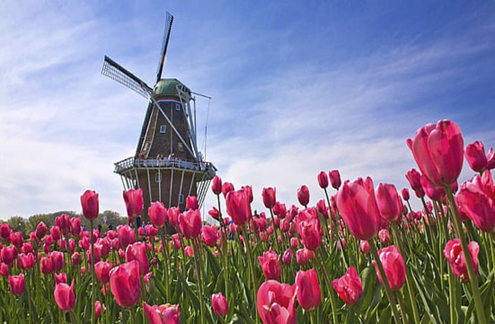 amsterdam1