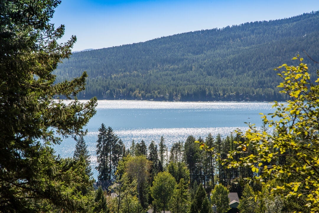 whitefish4